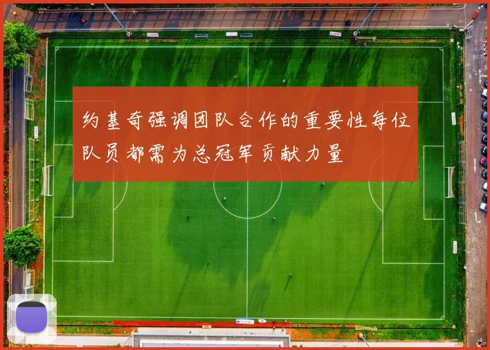 约基奇强调团队合作的重要性每位队员都需为总冠军贡献力量